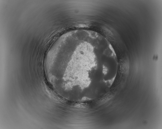 X0000114390550200911061517