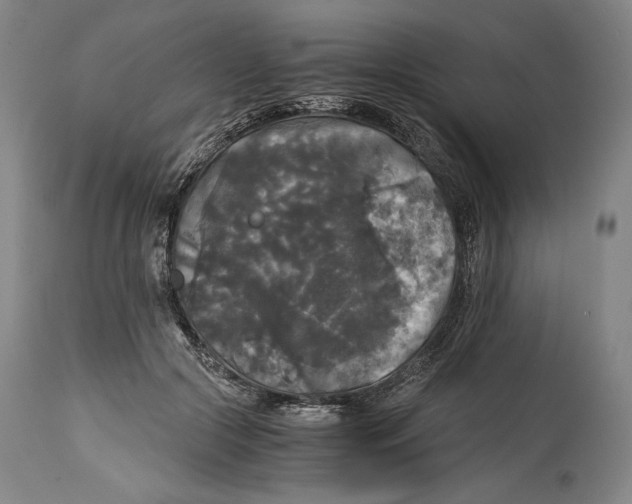 X0000114390553200911061517