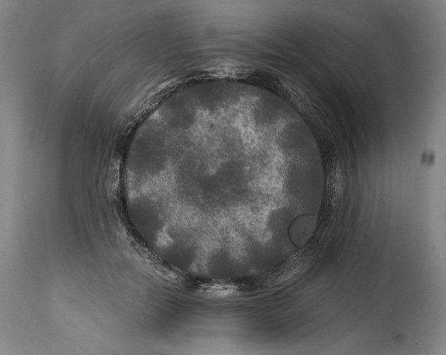 X0000114390554200911061517