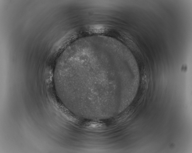 X0000114390555200911061517