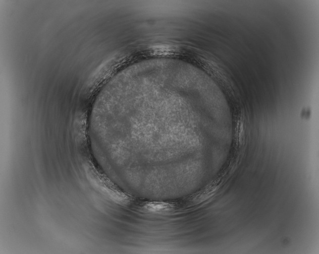 X0000114390557200911061517