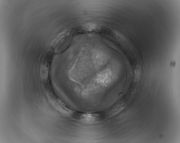X0000114390558200911061517