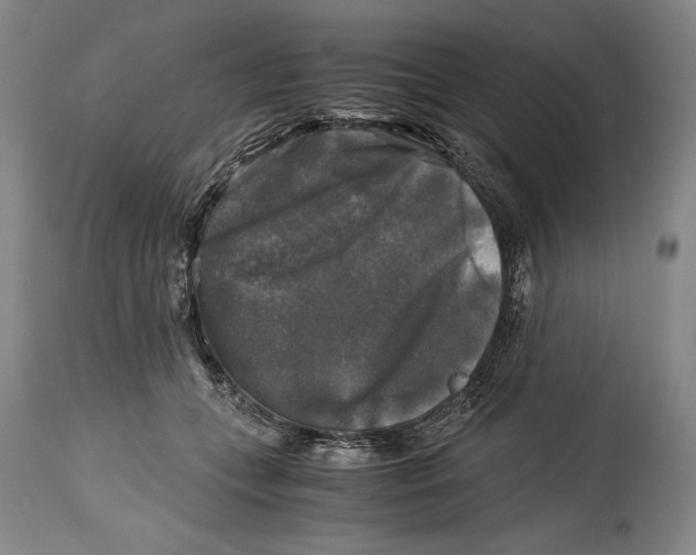 X0000114390559200911061517