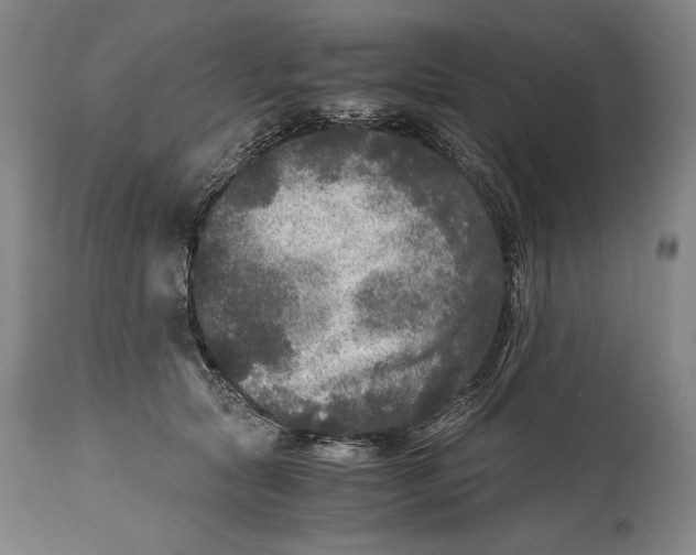 X0000114390561200911061517