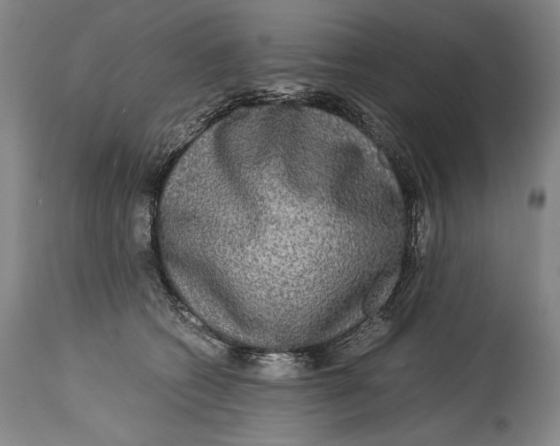 X0000114390562200911061517