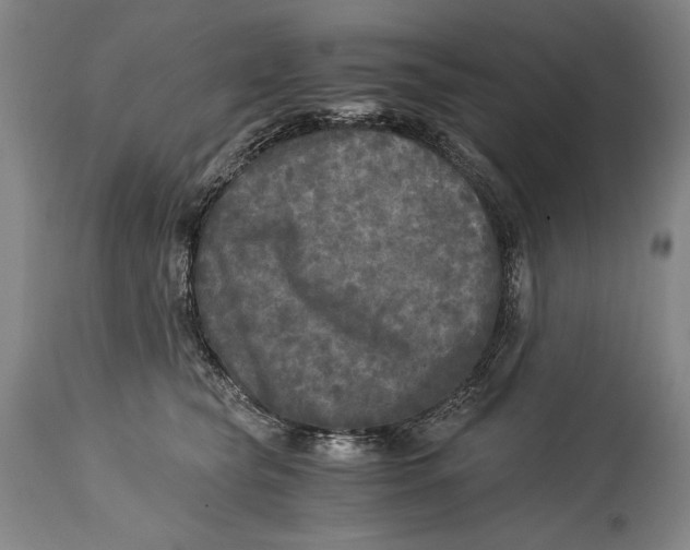 X0000114390565200911061517