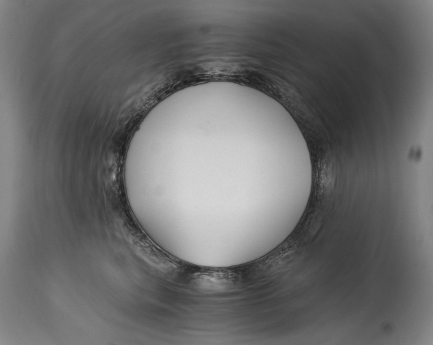 X0000114390567200911061517