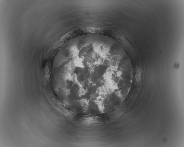 X0000114390569200911061517