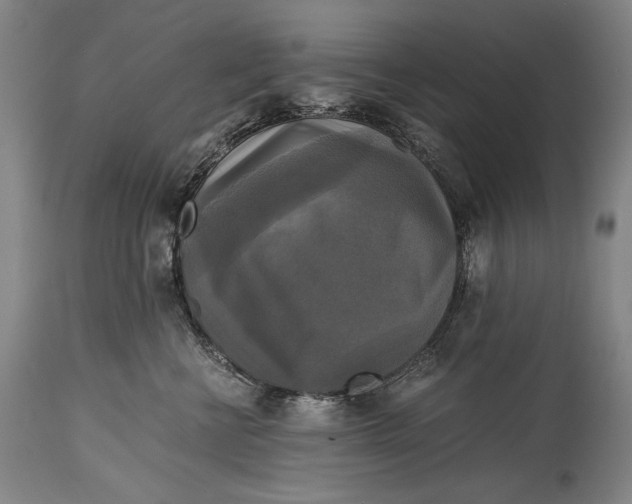 X0000114390570200911061517