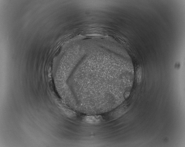X0000114390571200911061517