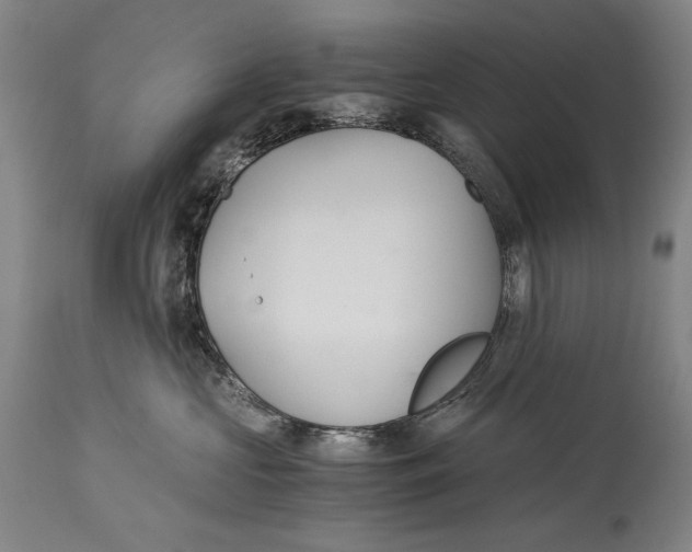 X0000114390573200911061517