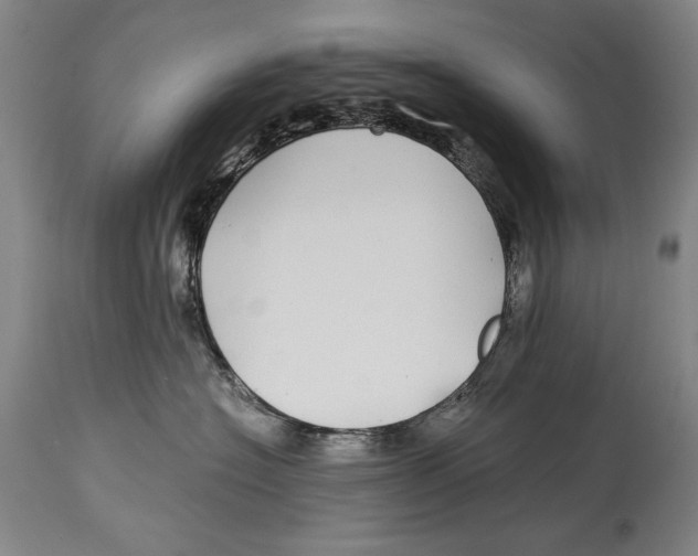 X0000114390574200911061517
