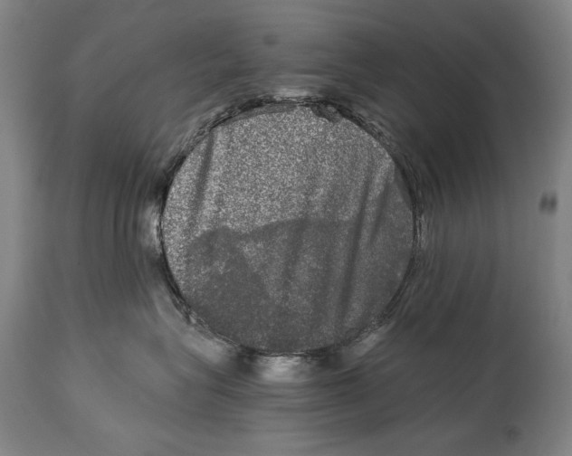 X0000114390575200911061517