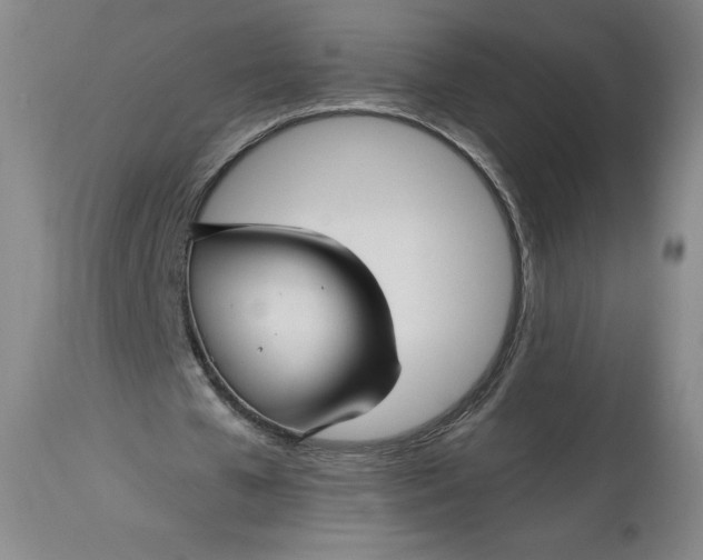 X0000114390577200911061517
