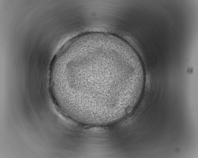 X0000114390578200911061517