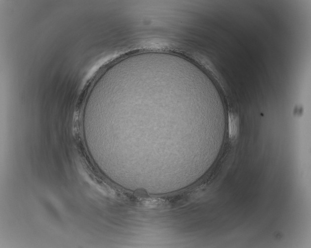 X0000114390579200911061517