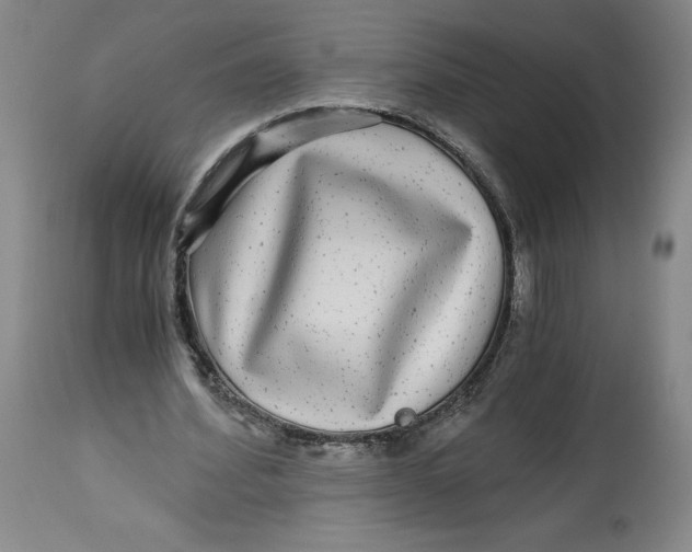 X0000114390580200911061517