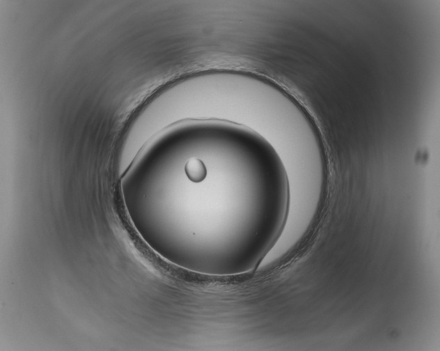 X0000114390581200911061517