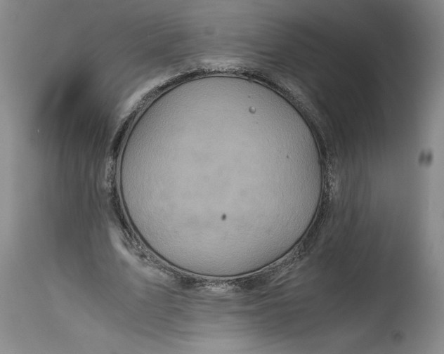X0000114390583200911061517