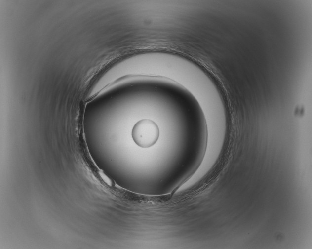 X0000114390585200911061517
