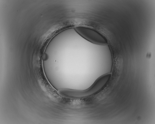 X0000114390587200911061517