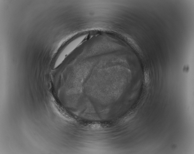 X0000114390588200911061517