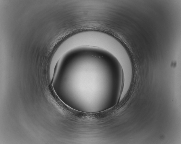 X0000114390589200911061517