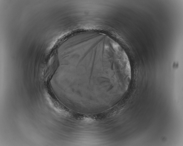 X0000114390592200911061516