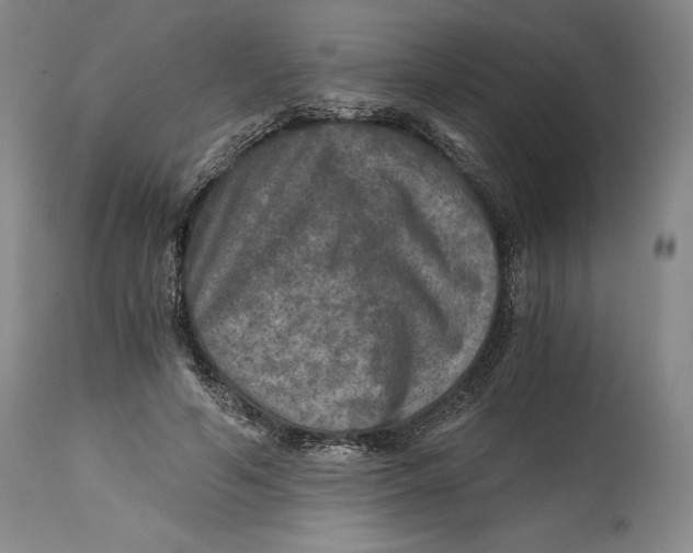 X0000114390594200911061516