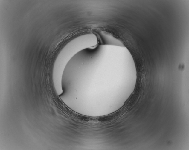 X0000114390595200911061516