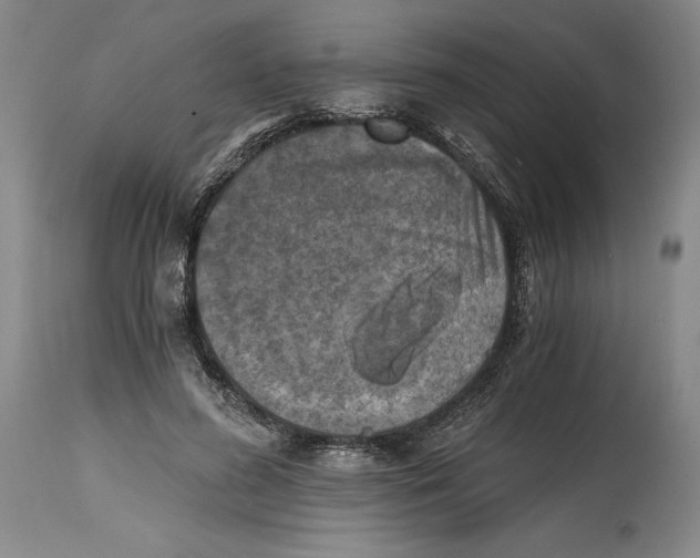X0000114390596200911061516