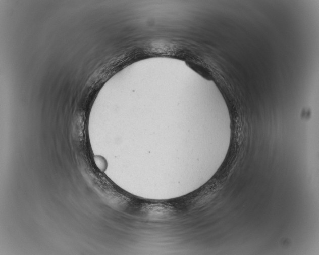 X0000114390597200911061516