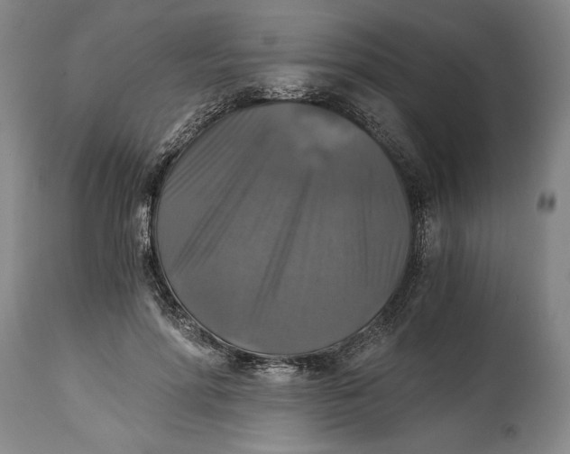 X0000114390598200911061516