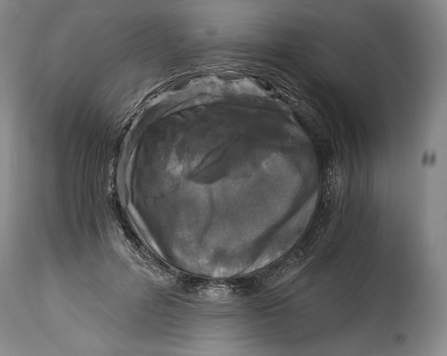 X0000114390600200911061516