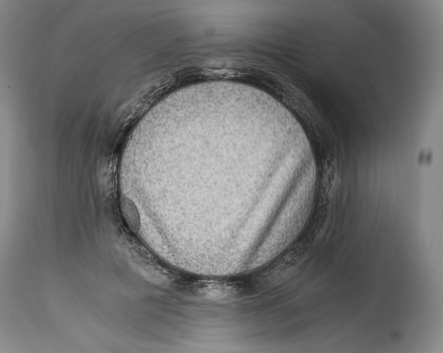 X0000114390601200911061516