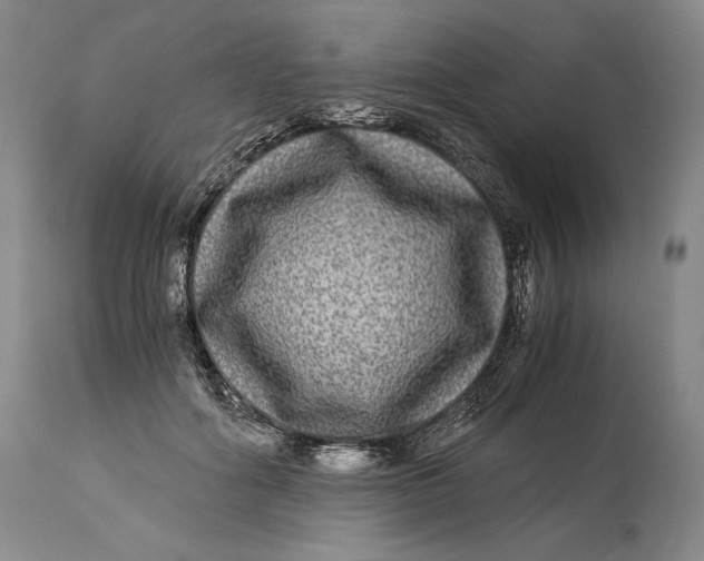 X0000114390602200911061516