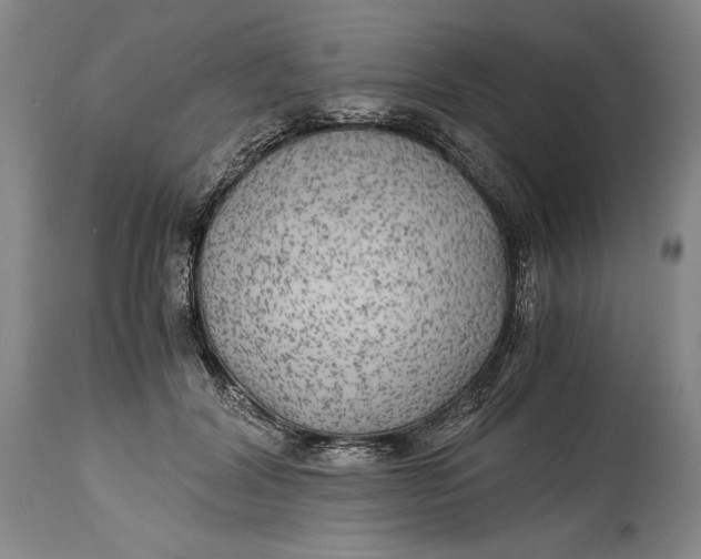 X0000114390604200911061516