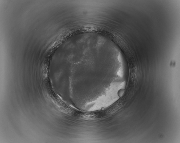 X0000114390606200911061516