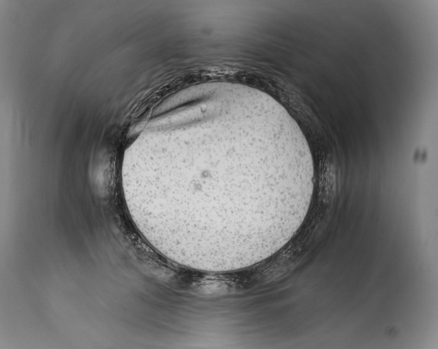 X0000114390608200911061516