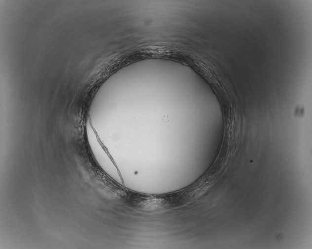 X0000114390609200911061516