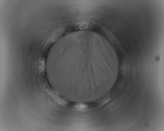 X0000114390610200911061516