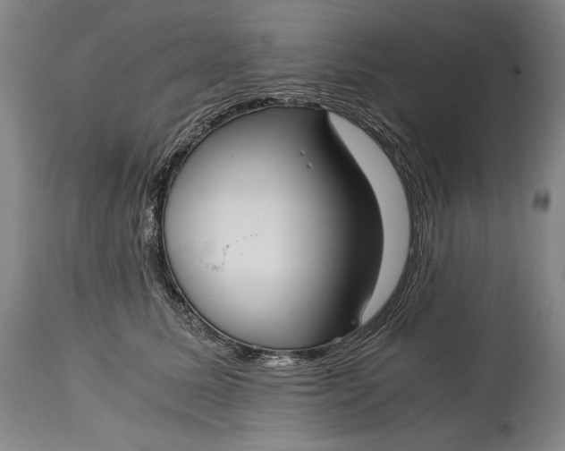 X0000114390611200911061516