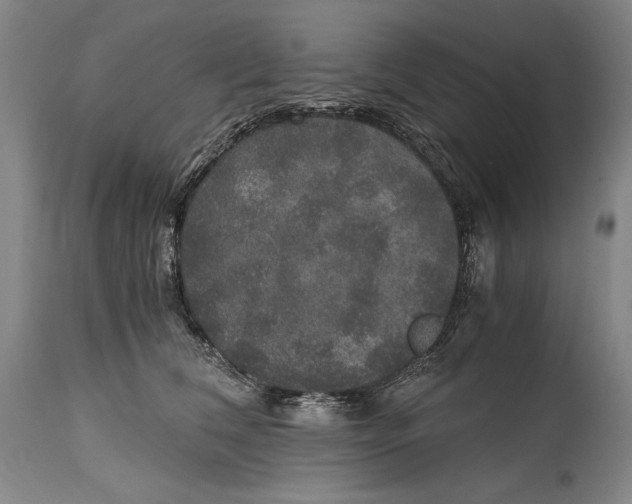 X0000114390612200911061516