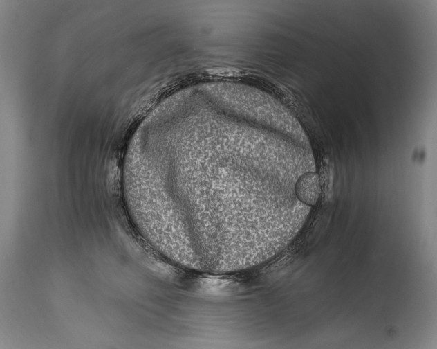 X0000114390614200911061516