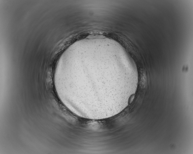 X0000114390616200911061516