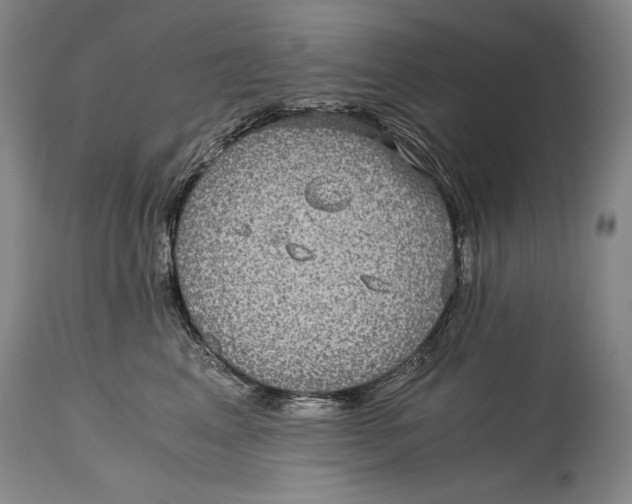 X0000114390617200911061516