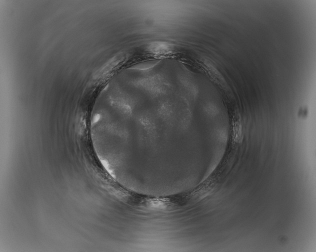 X0000114390618200911061516