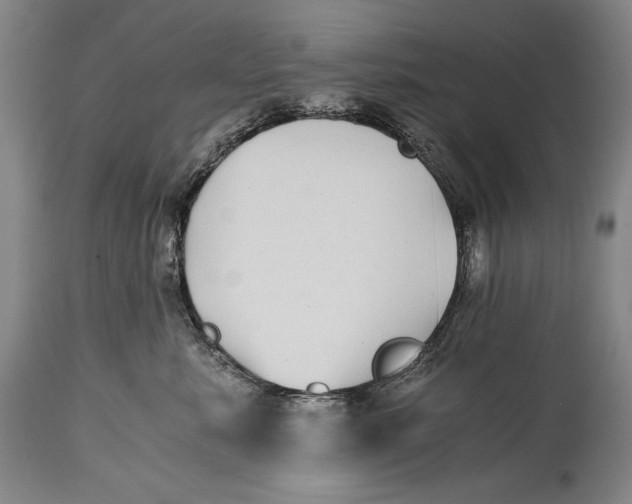 X0000114390619200911061516