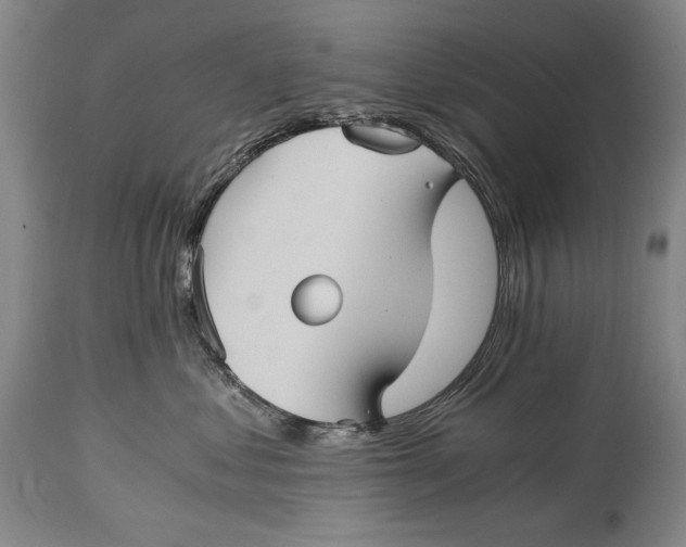 X0000114390621200911061516