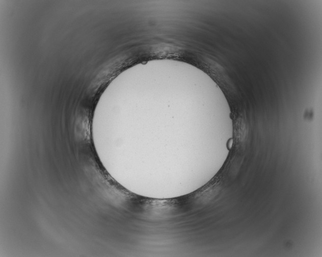 X0000114390622200911061516